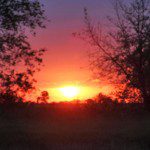 IMG_4697web