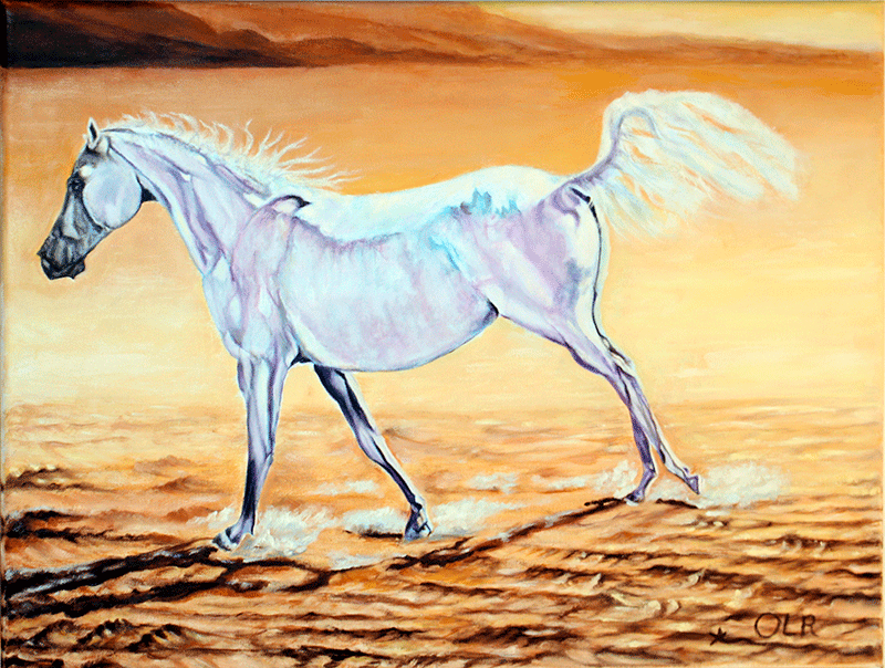 white-horse-in-the-sahara