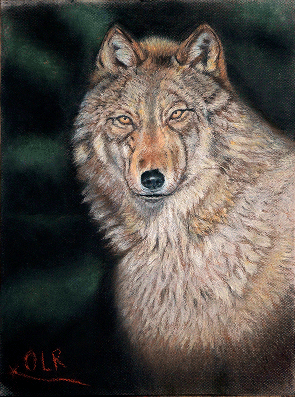 wolf-2009